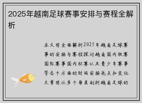 2025年越南足球赛事安排与赛程全解析