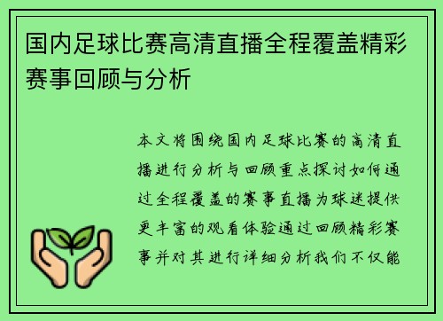 国内足球比赛高清直播全程覆盖精彩赛事回顾与分析