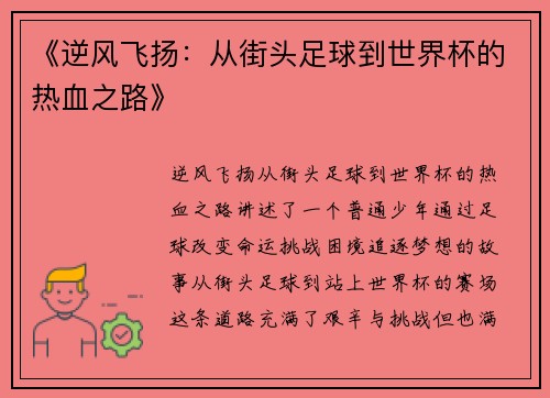 《逆风飞扬：从街头足球到世界杯的热血之路》