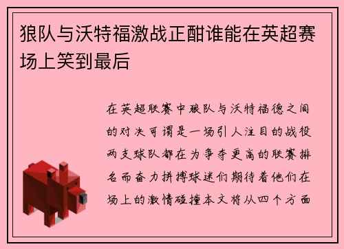 狼队与沃特福激战正酣谁能在英超赛场上笑到最后