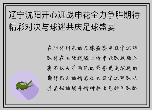 辽宁沈阳开心迎战申花全力争胜期待精彩对决与球迷共庆足球盛宴