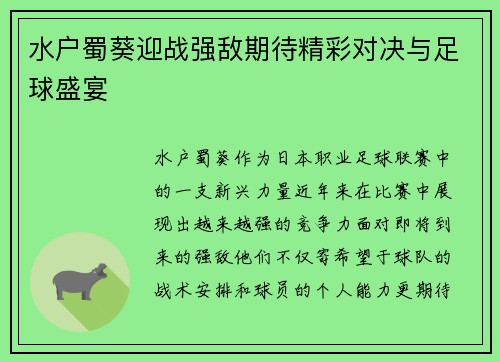 水户蜀葵迎战强敌期待精彩对决与足球盛宴
