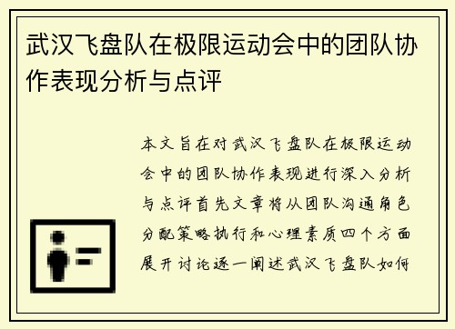 武汉飞盘队在极限运动会中的团队协作表现分析与点评